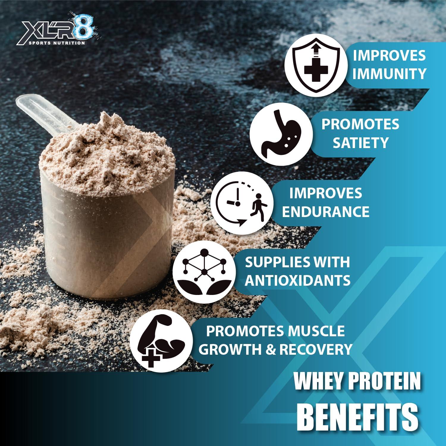 XLR8 XLR8 Classic Whey Protein Powder, 24 g Protein, 5.5 BCAA, No Maltodextrin (907 g (Pack of 1), Double Chocolate)