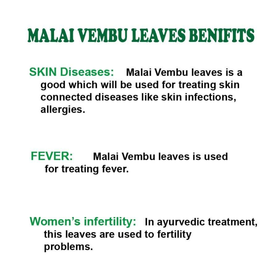3V PRODUCTS Malaivembu powder 100g | Bakayan powder | Chinaberry | Melia Azedarach