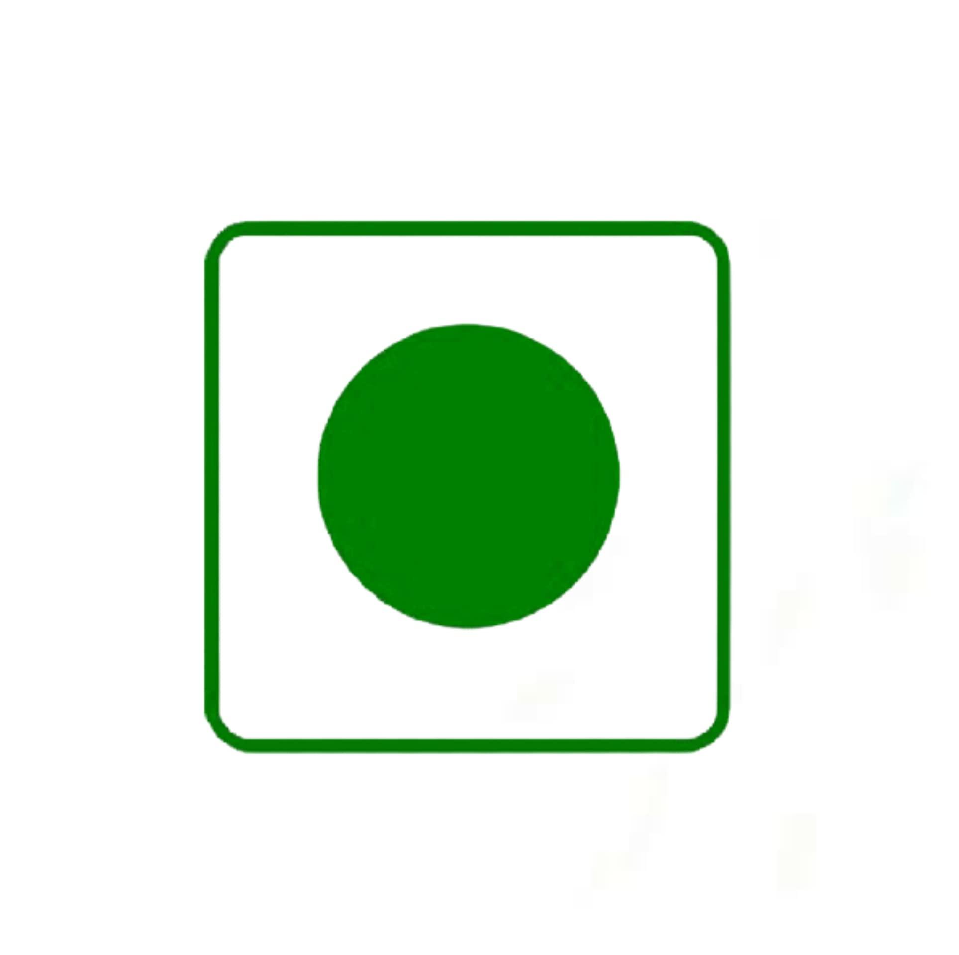 Generic Camcall Kerala Special Homemade Amla In Brine|Black Salted Amla Gooseberry|Nellikka Uppilittathu|Salted Gooseberry|Forest Amla Soaked In Black Salt - Fresh, 300 Gram