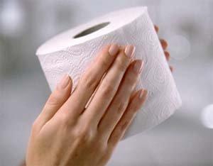 Dannu Toilet Tissue Paper (Set of 2), 2-ply Soft Absorbent,