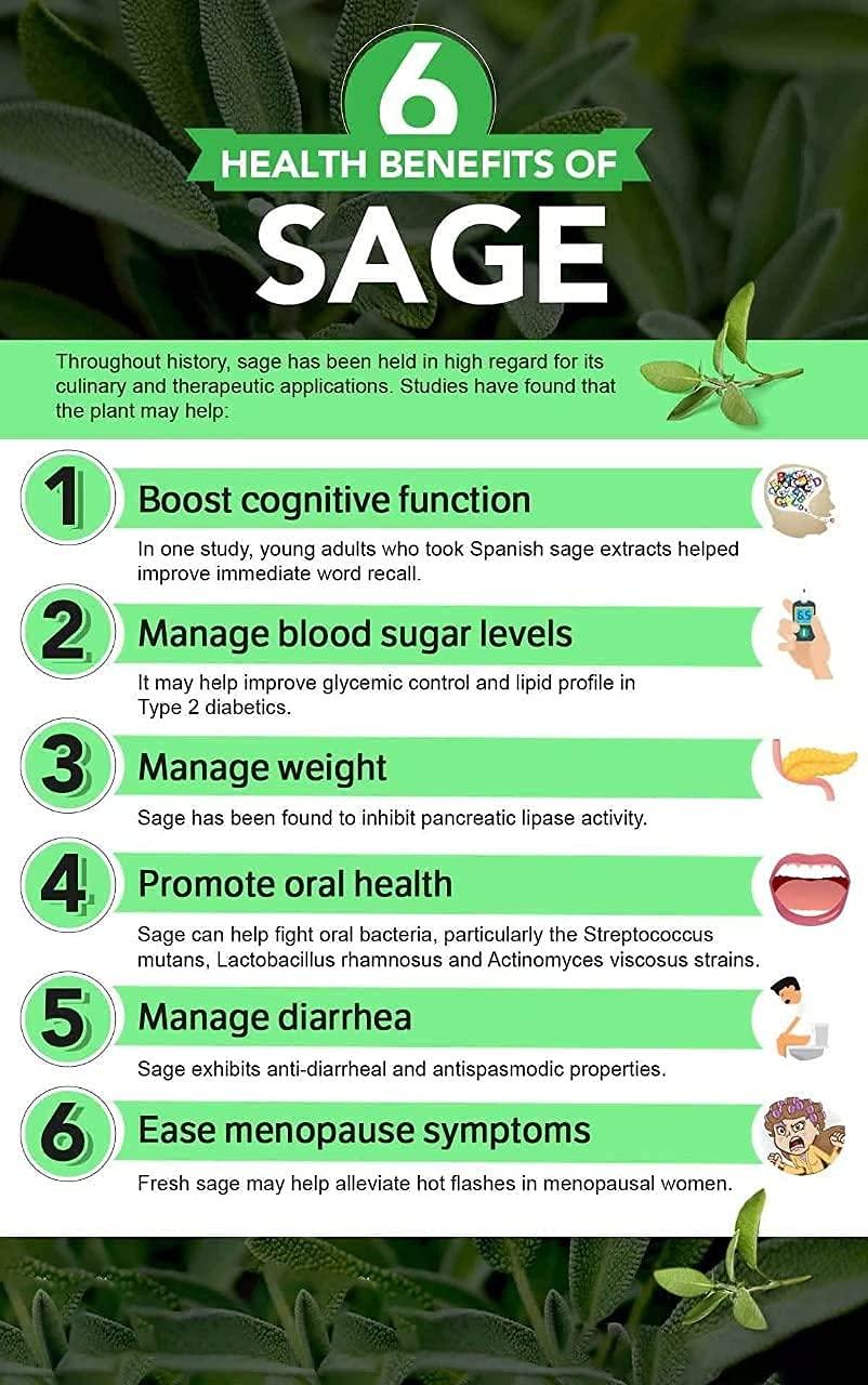 LEANBEING Leanbeing- Sage Seasoning (50g) | Crushed sage leaves | Improves blood sugar level | Promotes healthy skin | Sage tea leaves