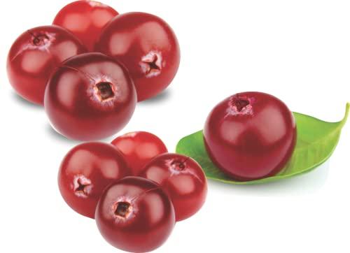 Brill Brill Dried Whole Cranberries 250g | Real Dried Fruit | No fat and Low Calories | High Antioxidants, Dietary Fiber & No Gluten