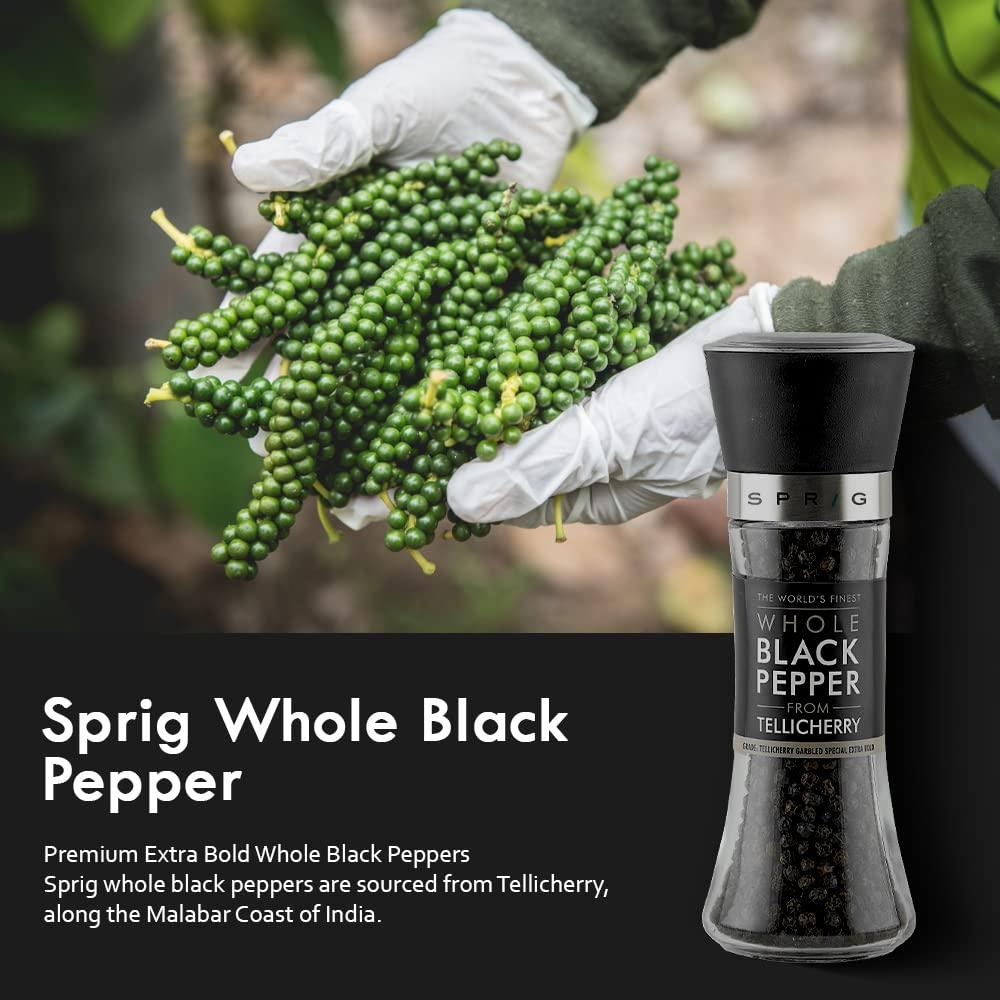 S P R I G Sprig World’s Finest Black Pepper | Tellicherry Black Peppercorns | Black Pepper for Cooking,Seasoning & Finishing|No artificial flavors or colours |100% Natural |High Grade Pepper Grinder Mill,100g