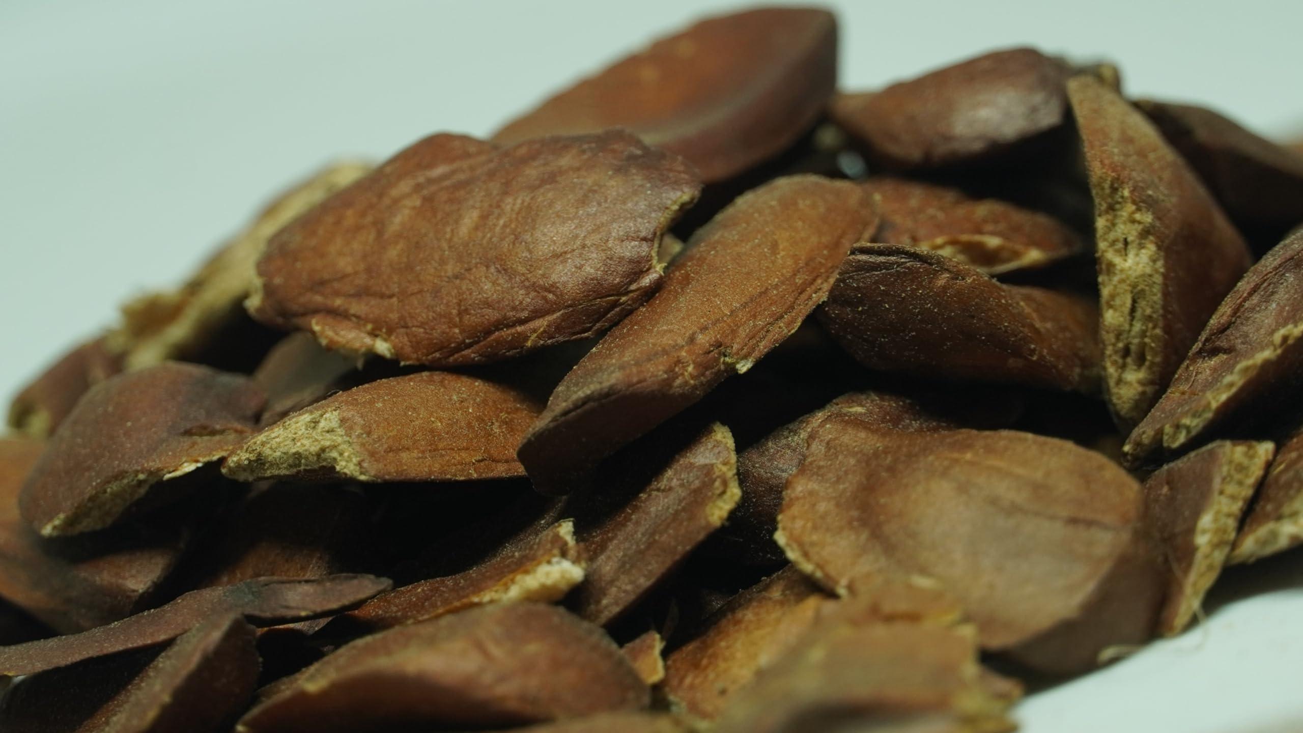 THOGAI THOGAIS -THEN KAI- Sky fruit/Thaen Kai/Swietenia Macrophylla/Thenkani Vidhai/Kadwa Badan/Mahogany/ (250 GRAMS (PACK OF 1))