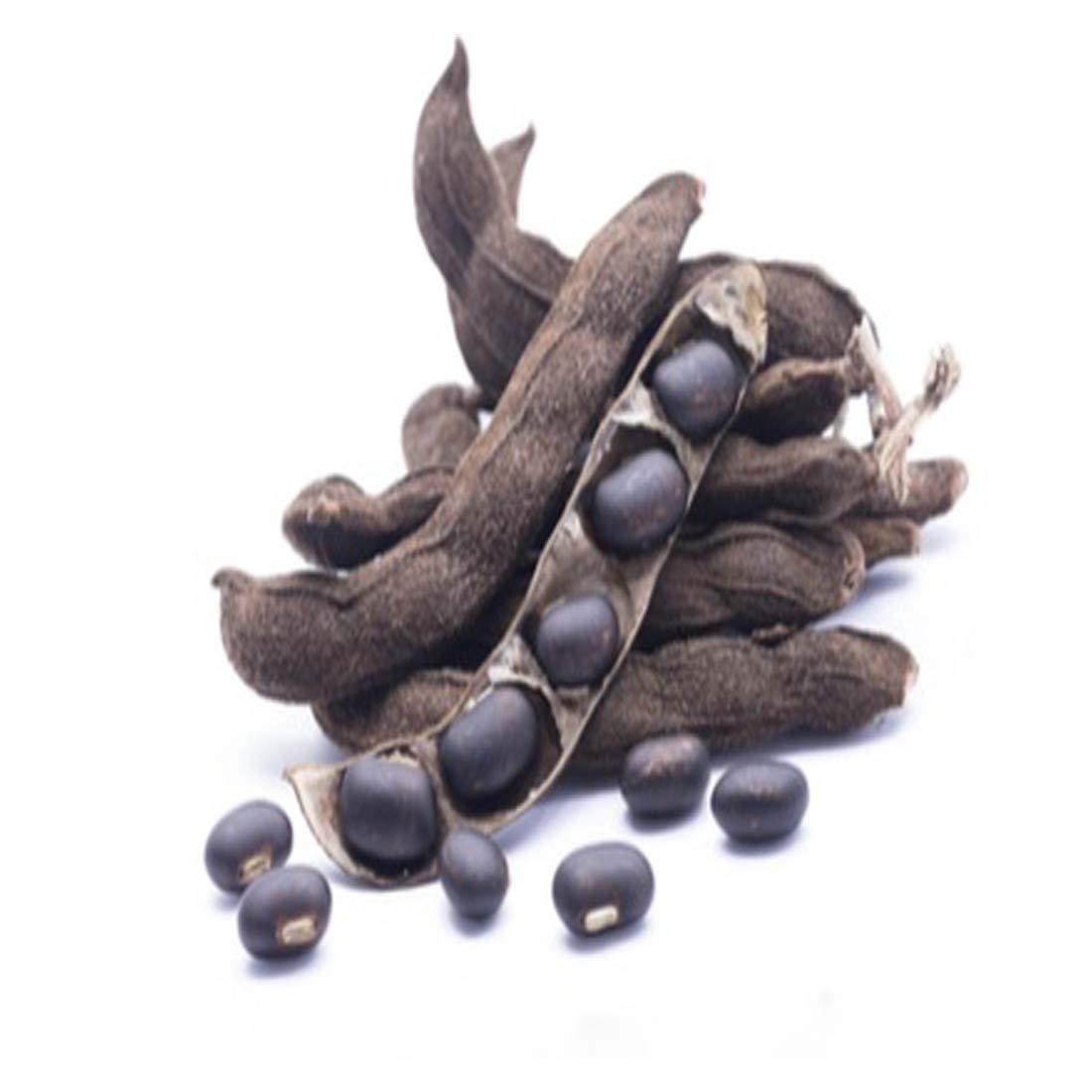Hardia Hardia kaunch beej Mucuna Pruriens Black Kaunch Seeds (200 Grams)