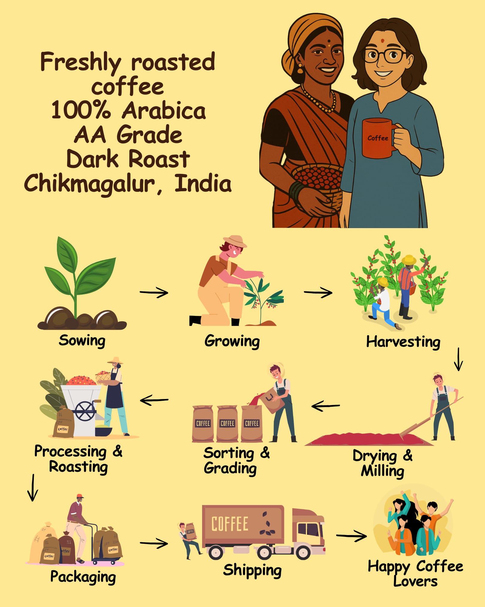 NICK OF TIME Nick of Time Traditional South Indian Chicory Filter Coffee Powder (85:15 Coffee Chicory Ratio) 100% Arabica AA Grade Dark Roast | Balanced Flavor & Aroma (500g|17.63 oz)