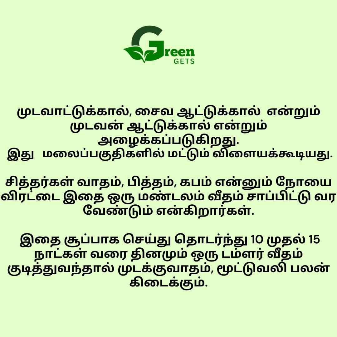 Generic Greengets Mudavattukal kilangu 1kg | helps to relieve your joint pain and knee pain.