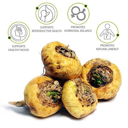 GOA NUTRITIONS GOA NUTRITIONS Maca Root Extract Adaptogen Complex Red, Black and Yellow Grade, As Dietary Supplement, No Sugar, Preservatives, And Talc -60 Tablets (Pack 1)