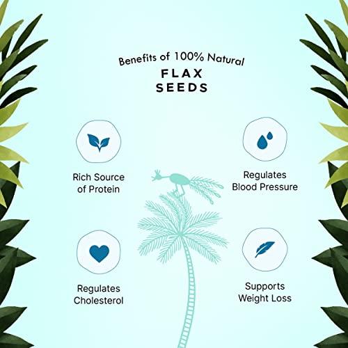 pind BACK TO THE ROOTS pind Flax Seeds, Omega 3 Fatty Acid Rich, Healthy Super Seed (250 g) Mixed Seeds (250 g)