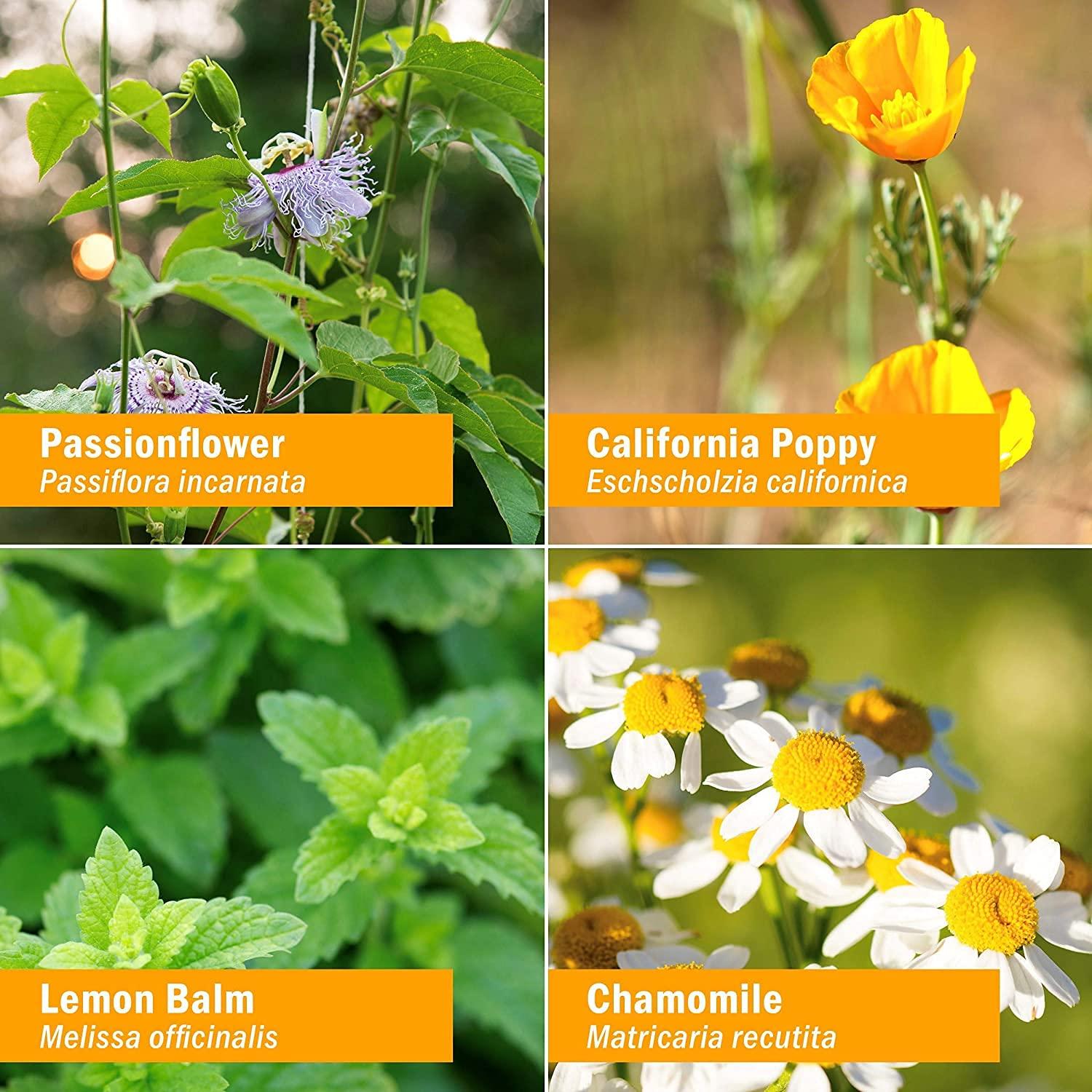 Herb Pharm Herb Pharm Kids Certified-Organic Alcohol-Free Fast Asleep Herbal Formula, 1 Ounce