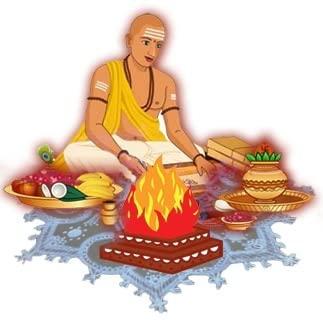 Awadh AWADH- Dry Natural Kusha Grass Bundles For Pooja And Purification Aid (Pack of 2 Bundels), Darbha Grass or Kusha Grass for puja Havan, Dharbha pul/Halfa Grass/Kusha Grass for Pooja Karma