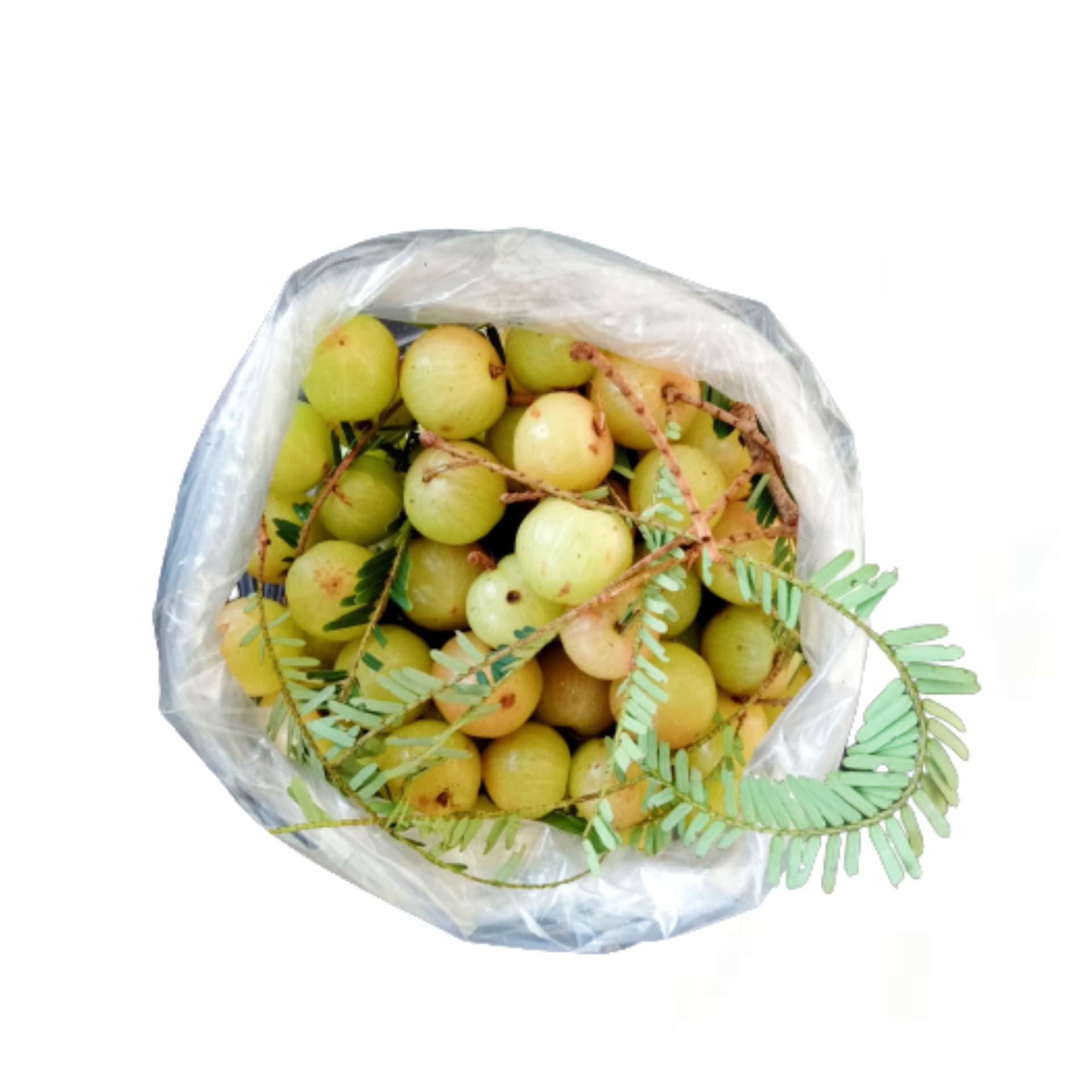 Generic Camcall Kerala Special Homemade Amla In Brine|Black Salted Amla Gooseberry|Nellikka Uppilittathu|Salted Gooseberry|Forest Amla Soaked In Black Salt - Fresh, 300 Gram