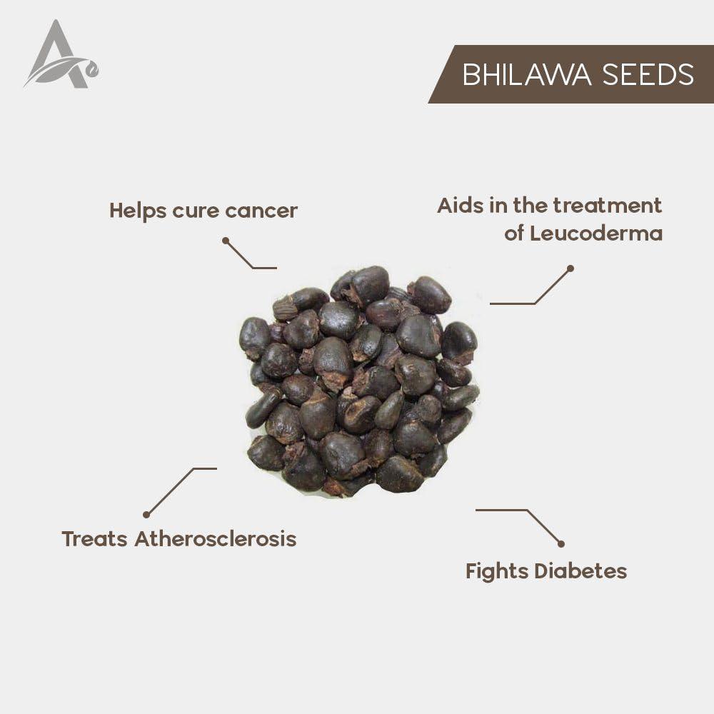 Kwality Bhelwa//Bhilwa//Semecarpus Anacardium Seed - Marking Nut Seed - Bile Semecarpus Anacardium Linn Seed (100 Grams)