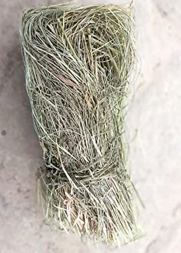 indianvedic Dried Dry Doob Ghaas Durva Grass Bahama Ghas Indian Couch Arugampul | Cynodon dactylon 150g