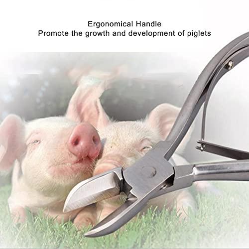 Jaerb Pig Teeth Cutter, Simple Pig Tooth Nipper Practical for Rabbits for Cut Teeth for Piglets for Cutting Off Deciduous Teeth
