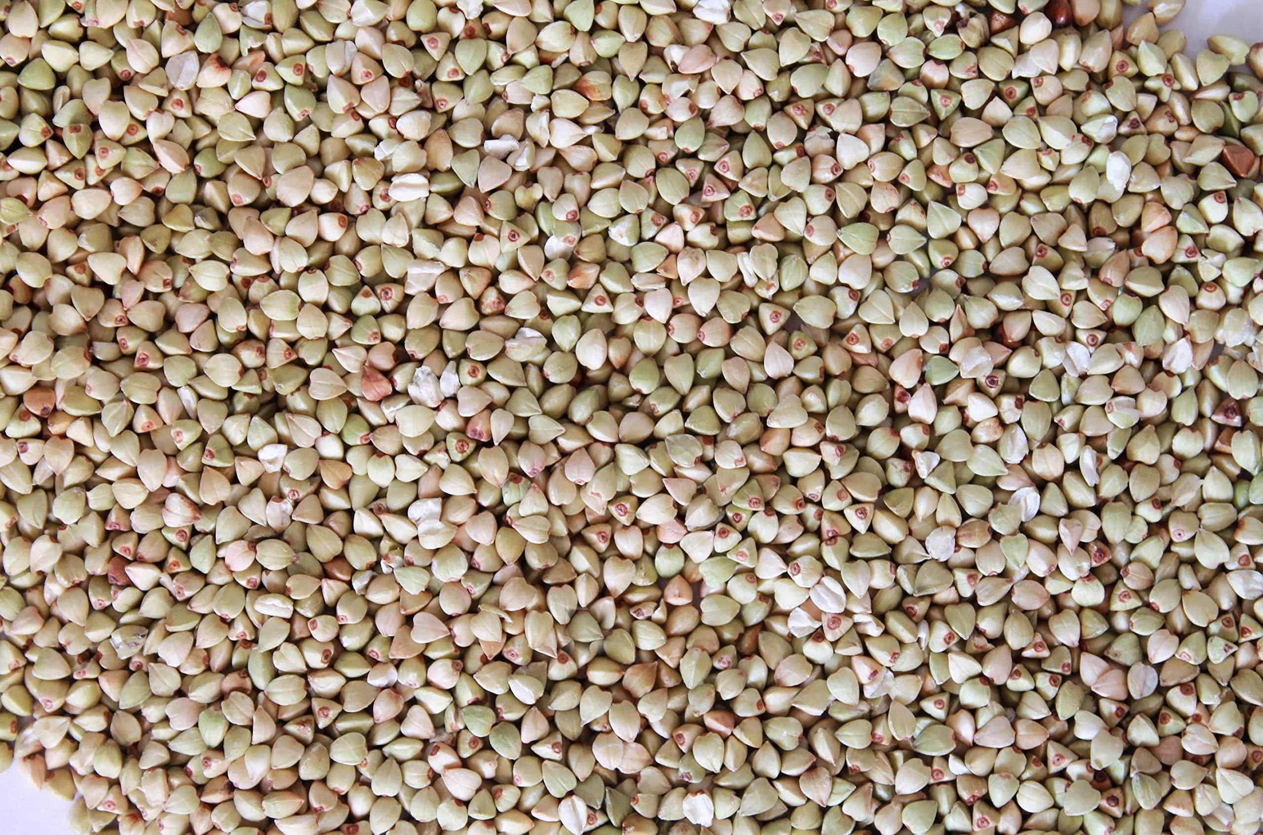 NutriBuck NutriBuck® Buckwheat Groats | Hulled | Kuttu-Giri | Gluten-Free (2700 Gram)