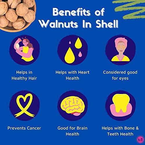 KINGUNCLE King Uncle's Chilean Walnuts-In-Shell (Sabut Akhrot) (500)