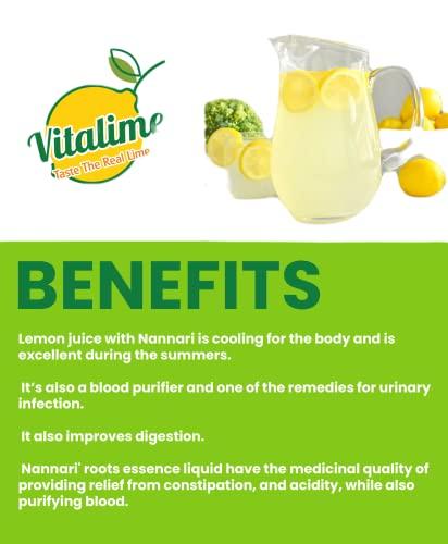 Vitalime Vitalime Lemon Nannari Juice Mix|100% Natural |Pure and Natural coolant -31gram (Pack of 10)