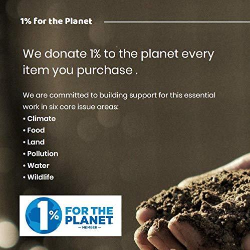 EcoBuddy EcoBuddy Bamboo Toothbrush, Nylon Medium Bristles (Purple)