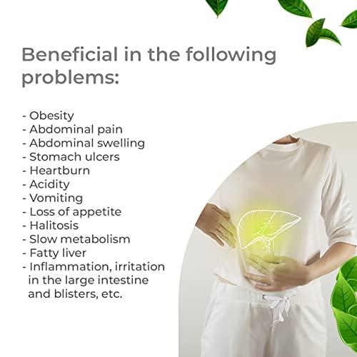 VANOSHDHI AYURVEDA SWASTHYA AMRIT RAS for stomach wellness