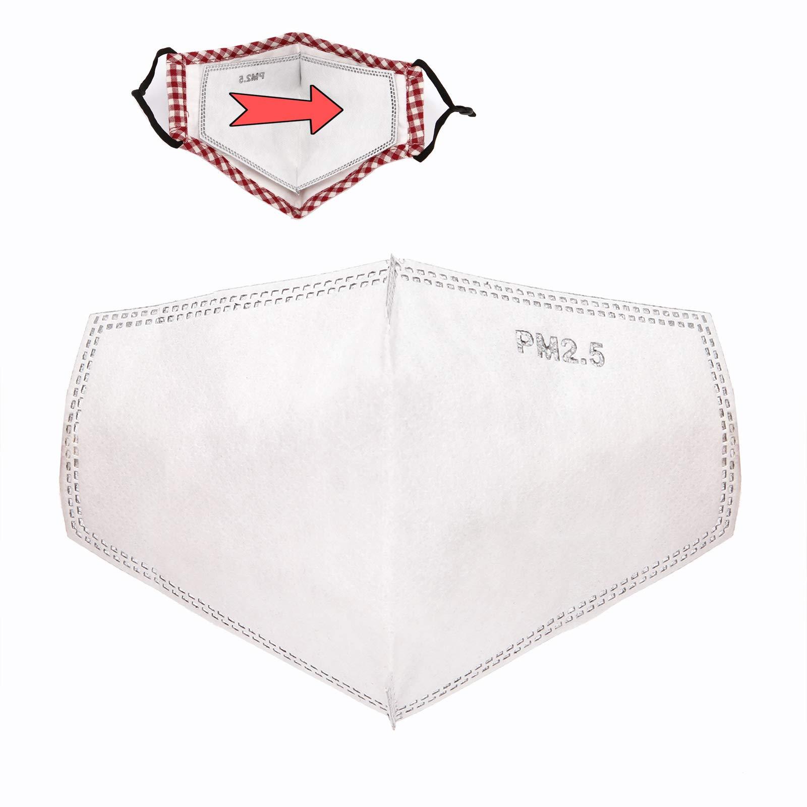 Quejowy New 3D Cutting PM 2.5 Activated Carbon Filter, 5 layers Pm2.5 Filter Insert Dustproof Air Pollution Replaceable Protective Anti Haze Filter Large Size (24)