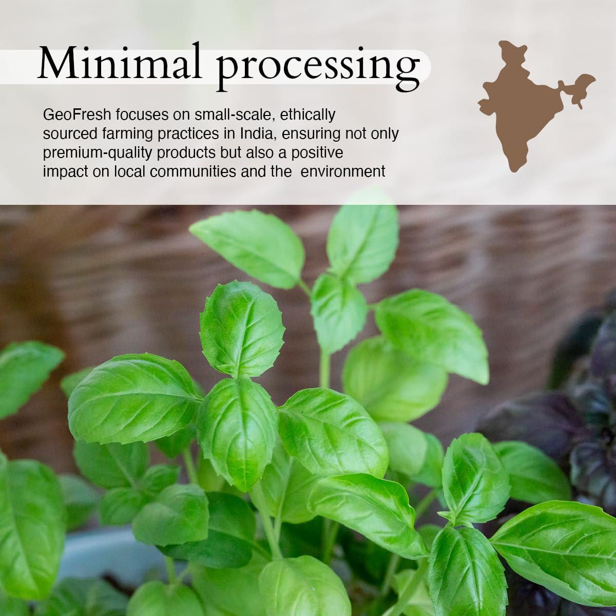 Geo-Fresh Geo-Fresh USDA Certified Organic Basil (20 g)