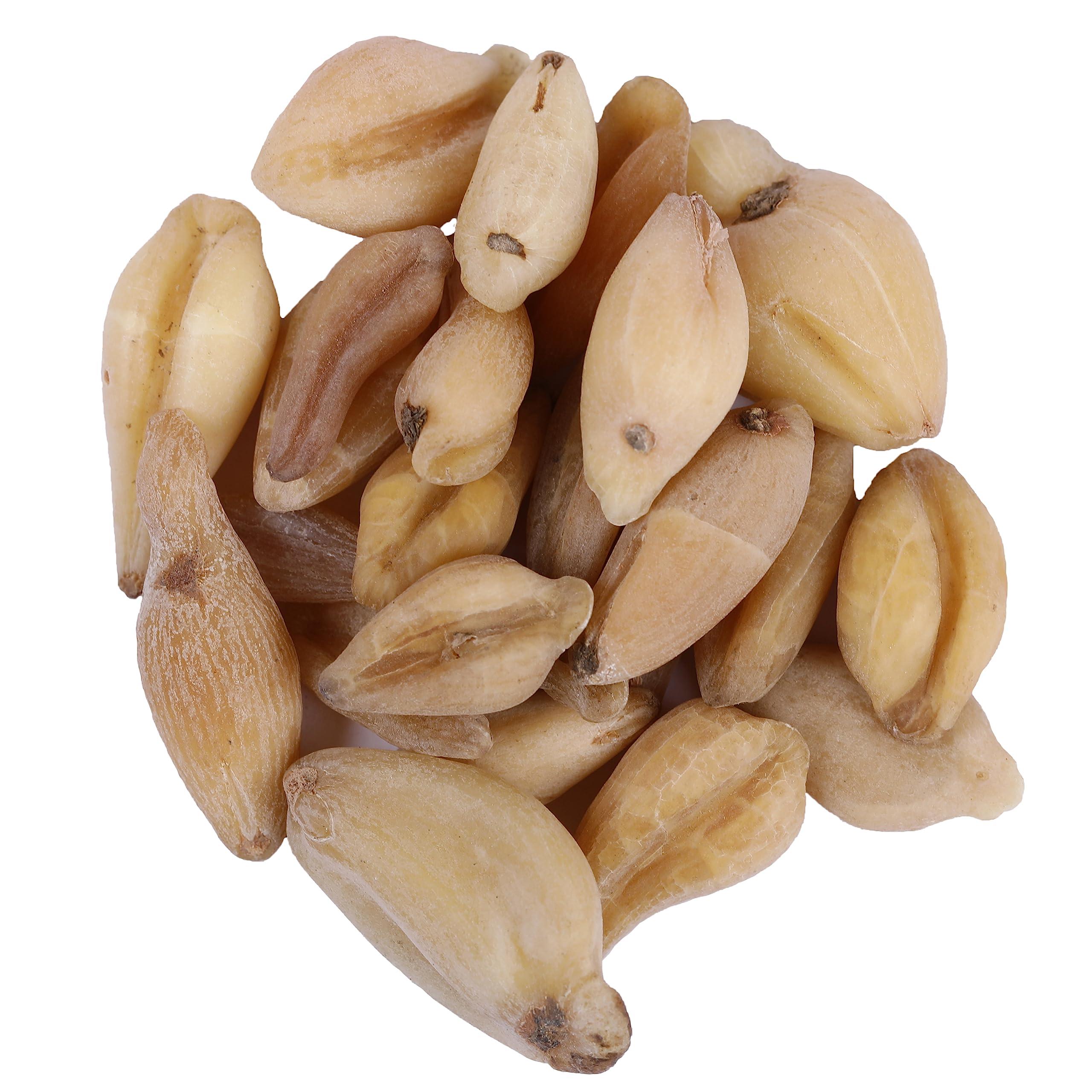 Yuvika YUVIKA Suranjaan Kadvi - Suranajan Kadwi - Colchicum Luleum - Suranjan Bitter (100 Grams)