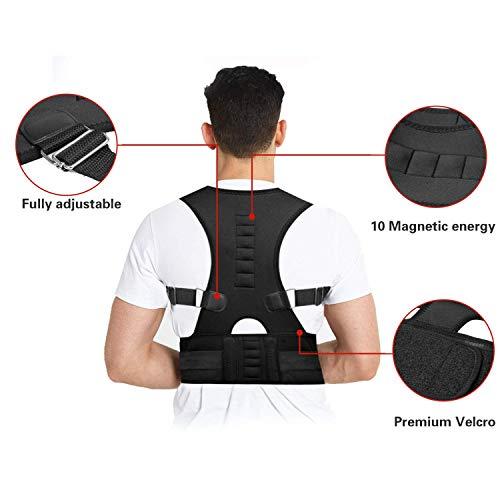 ORTHOPINE Orthopine Advanced Posture Corrector for Men & Women Universal fit Exclusive Double Strapping Contoured Lumbar Sacral Belt For Back Support Back Pain
