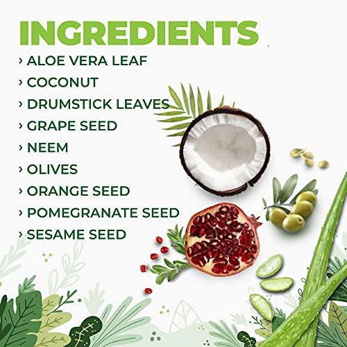 Herb & Hill GoHeal - The cream clinically proven and doctor approved to apply topically on non-healing wounds, bed sores, pressure sores, diabetic wounds And venous ulcers (10 Gram)