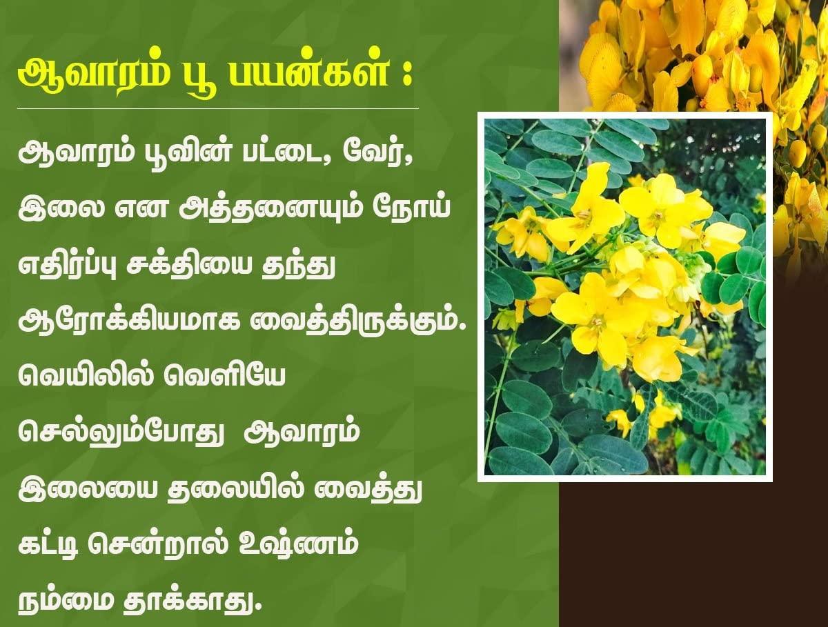 RedCube Thukil Trading Company - Aavarampoo | Tarwar | Aavaram |Senna auriculata | Tangedu Flower Crushed powder (750g)