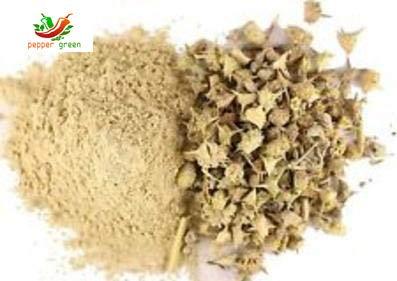 PepperGreen PepperGreen Njerinjil-Nerinjil,Puncture Vine,Prevent Urinary Tract Infections and Kidney Diseases, 200gm