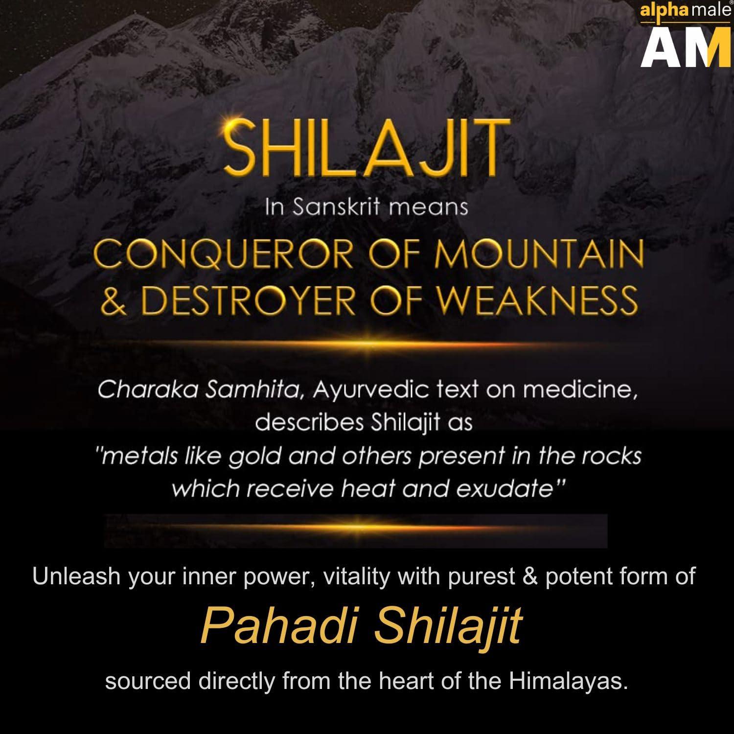 ALPHA MALE Alpha Male Natural Shilajit/Shilajeet Resin - 30 GM|Pure Pahadi Shilajeet for Men Women