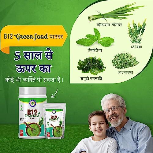 Vichip B12 Green Food Powder 100 gms | 100% Natural Plant Based Vitamin B12 Supplement for Men & Women | No Preservatives