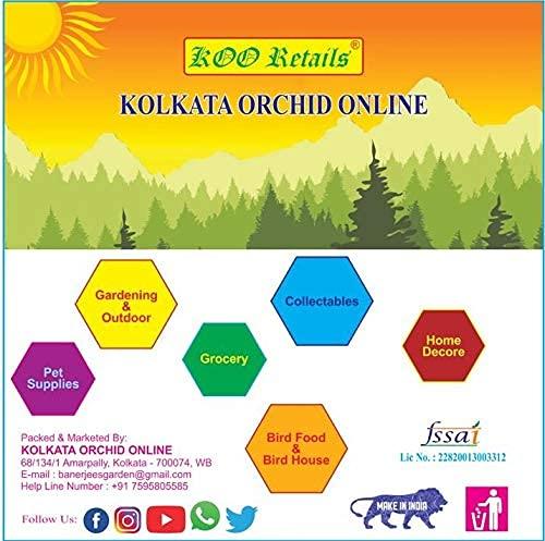 KOO Retails KOO Retails Stone Flower Spice 50 Gram | Pathar Phool | Dagad Phool | Chhabila | Kalpasi Spice | Permalia Perlata | Rock Flower Stone | Patthar Ke Phool