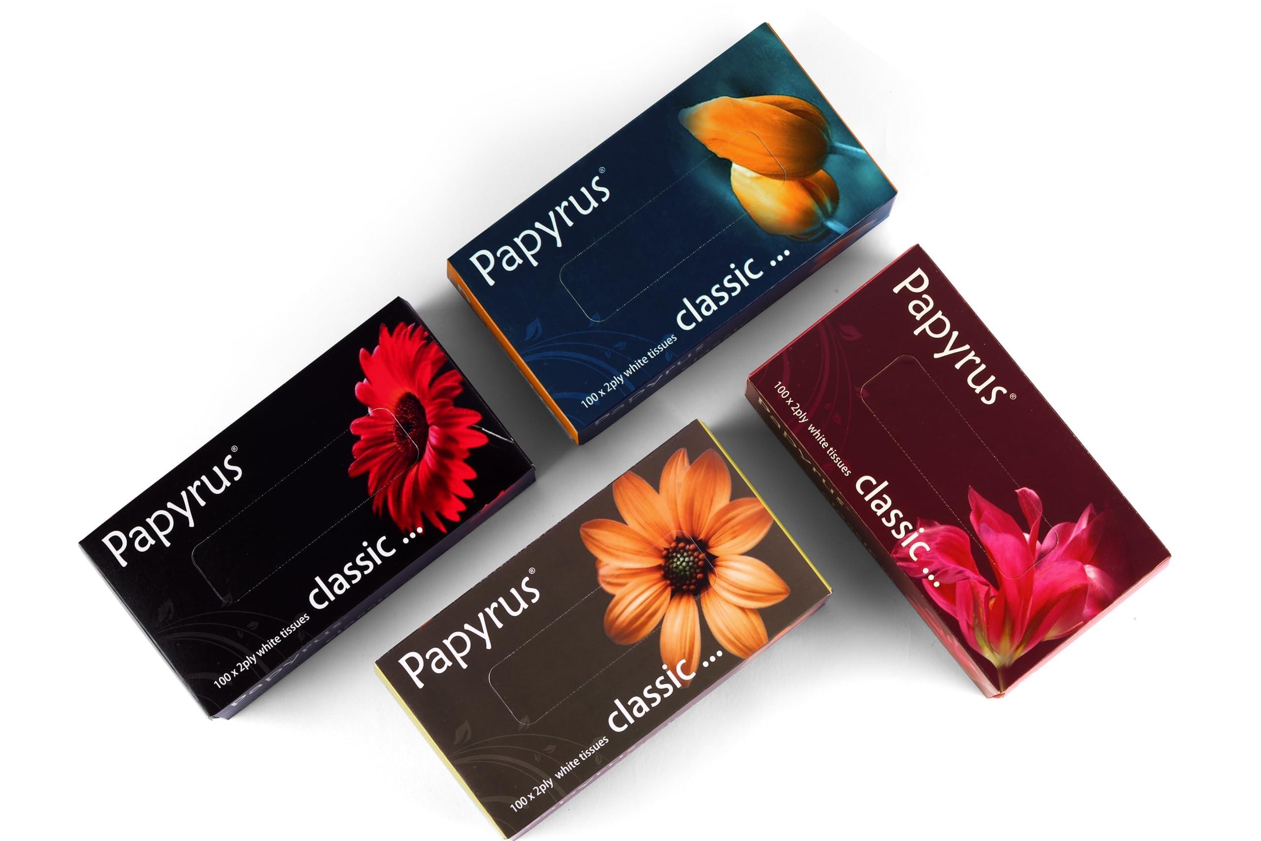 Papyrus PAPYRUS Facial Tissue Papers | Face Tissue Paper Box | Car Tissue Face Wipes | Face Tissue For Women | Napkin Tissue Box Soft | Facial Tissues Wipes Face (100x 2Ply-200 Sheets/Pack- 4 (800 Sheets)