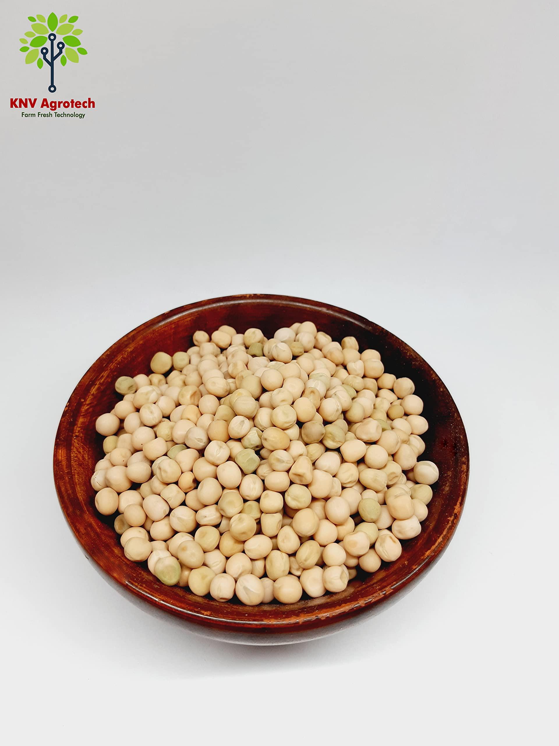 SVEDNIKA SVEDNIKA White Peas | Pulses | Matar | White peas dry | Sukhe matar | Dry matar | Tastes delicious | Rich in fibre and protein | Resealable ZipLock Packaging | 400 Grams