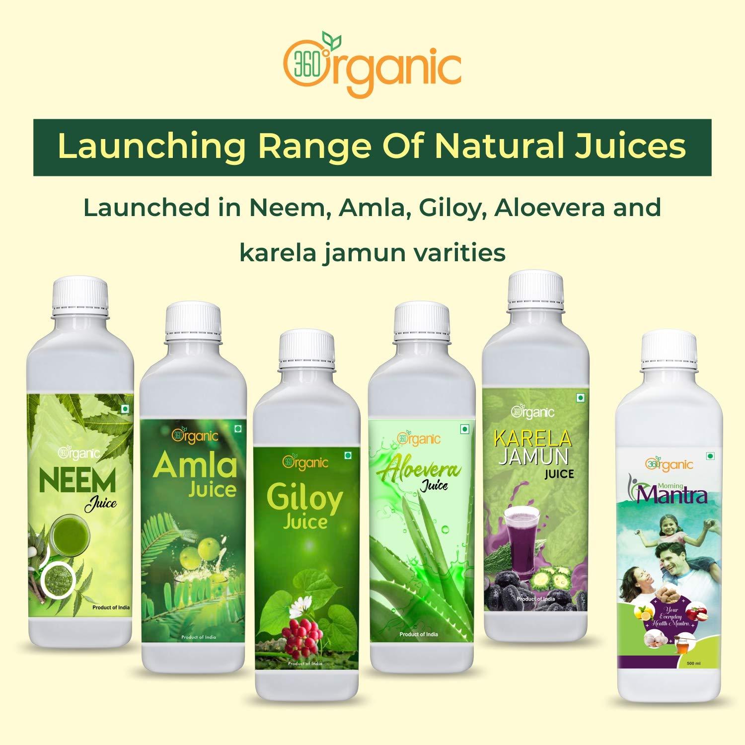360 Degree Organic 360 Degree Organic Karela Jamun Juice for Controls Blood Sugar Levels | Fights Cholesterol | Helps Improves Digestion | Helps Build Immunity | Skin Wellness - No Added Sugar - 500 ml (Pack 2)
