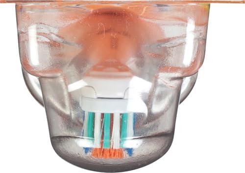 Spinbrush Spinbrush Truly Radiant Extra White Battery Toothbrush