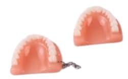 NMD NEXUS MEDODENT NMD Nexus Memodent Dental Lower Jaw with tooth keychain (Pack of 1)