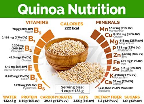 MARWAR Marwar Quinoa Seeds (Natural Organic, White, Protein Rich & Gluten Free Super-Food) 1 kg