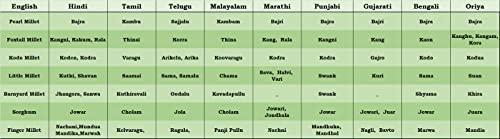 Prabhat Prabhat Millet Roasted Flakes Combo - Barnyard Millet Flakes, Browntop Millet Flakes, Foxtail Millet Flakes, Kodo Millet Flakes, Little Millet Flakes (200gm x 5 - 1Kg) | Breakfast Cereal