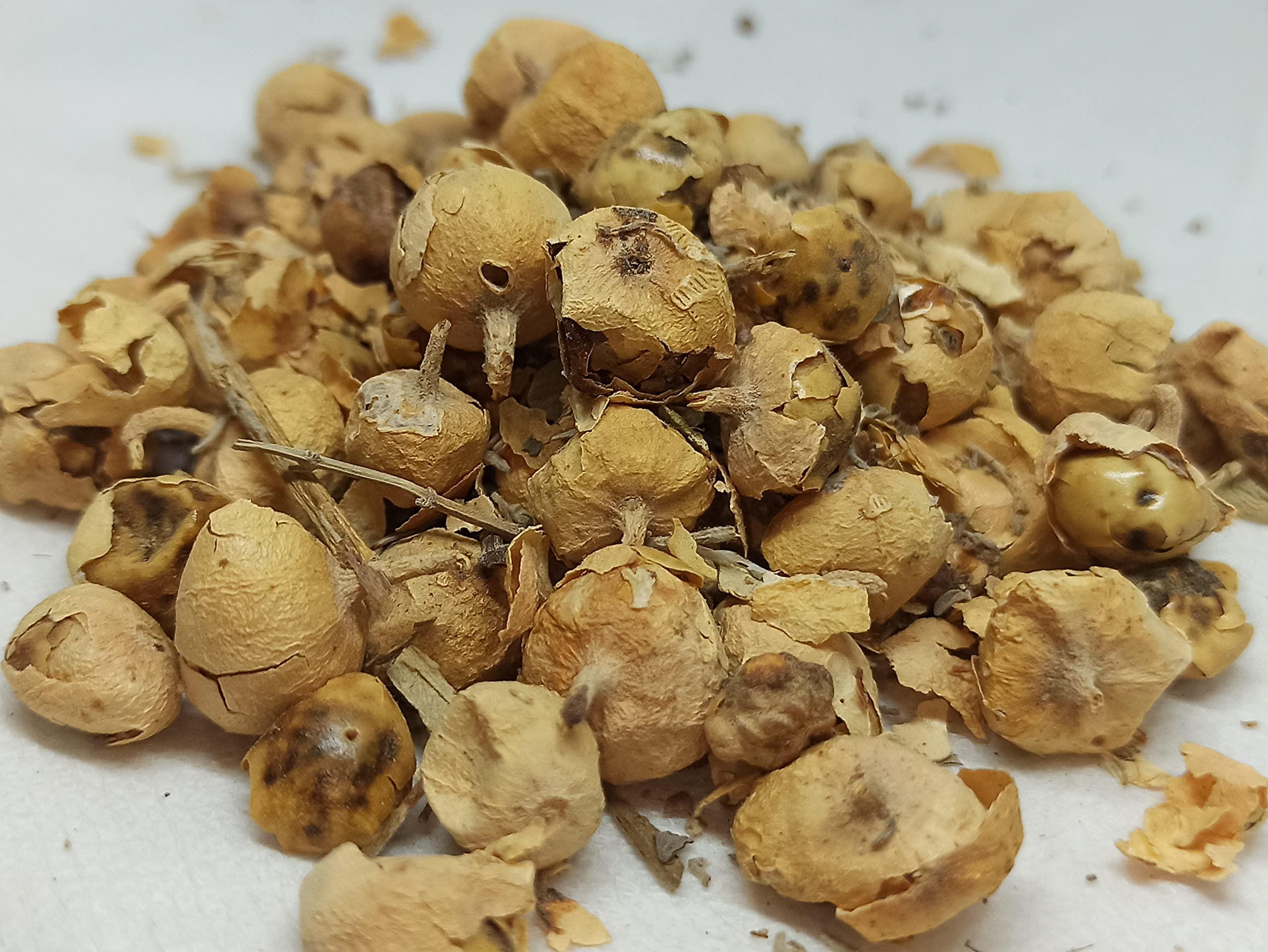 NATURALIFE NATURALIFE\'S-*PANNIR POO*-Indian Rennet Flower Dried I Withania coagulans Dunal I Paneer Poo/ I Paneer Phool/Paneer Doda I Panneru-gadda (250 GRAMS)