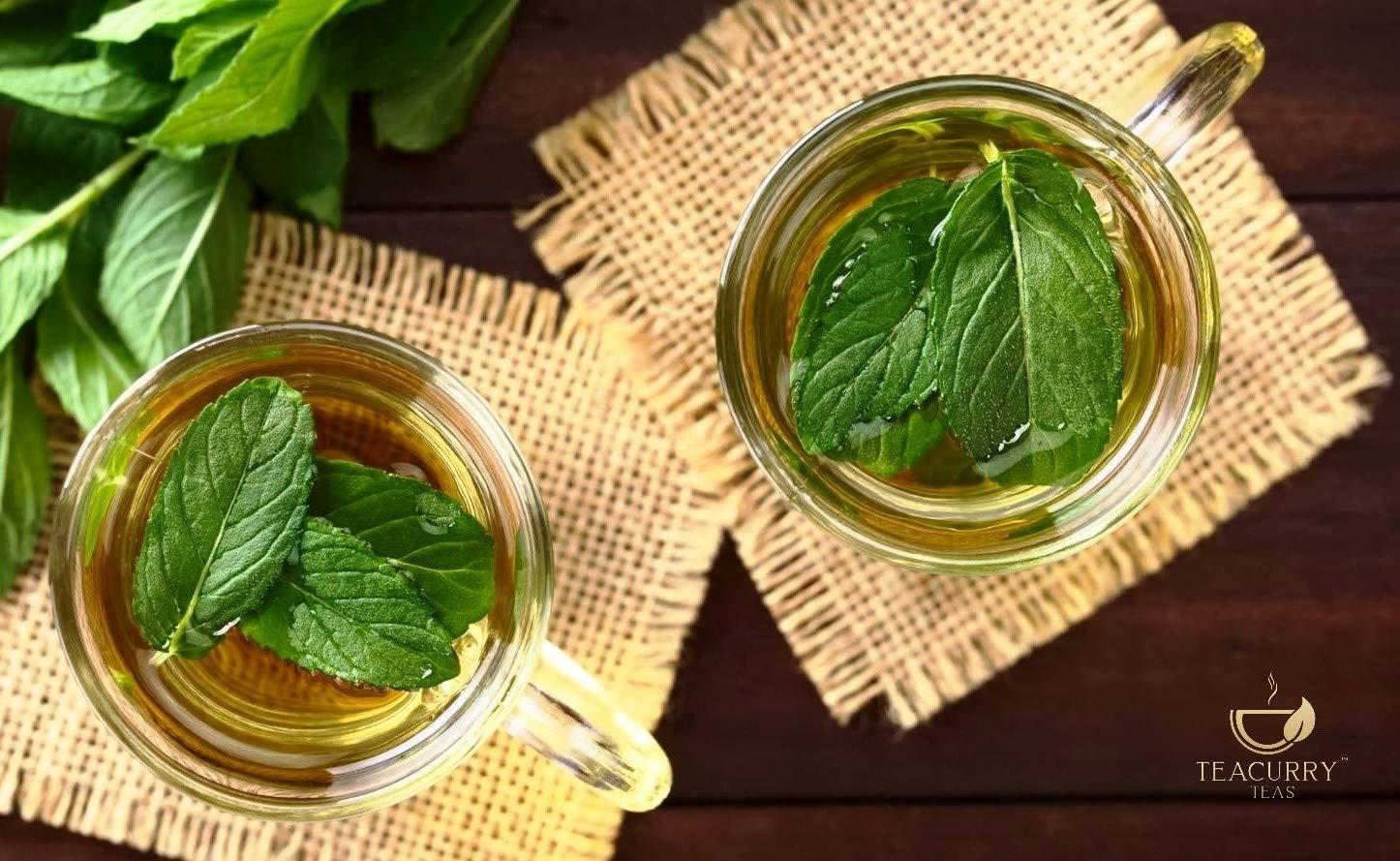 TEACURRY TEACURRY Mint Leaves Tea (25 Grams, 50 Cups) - Helps in Digestion, Bad Breath - Brazil's Mint Leaves