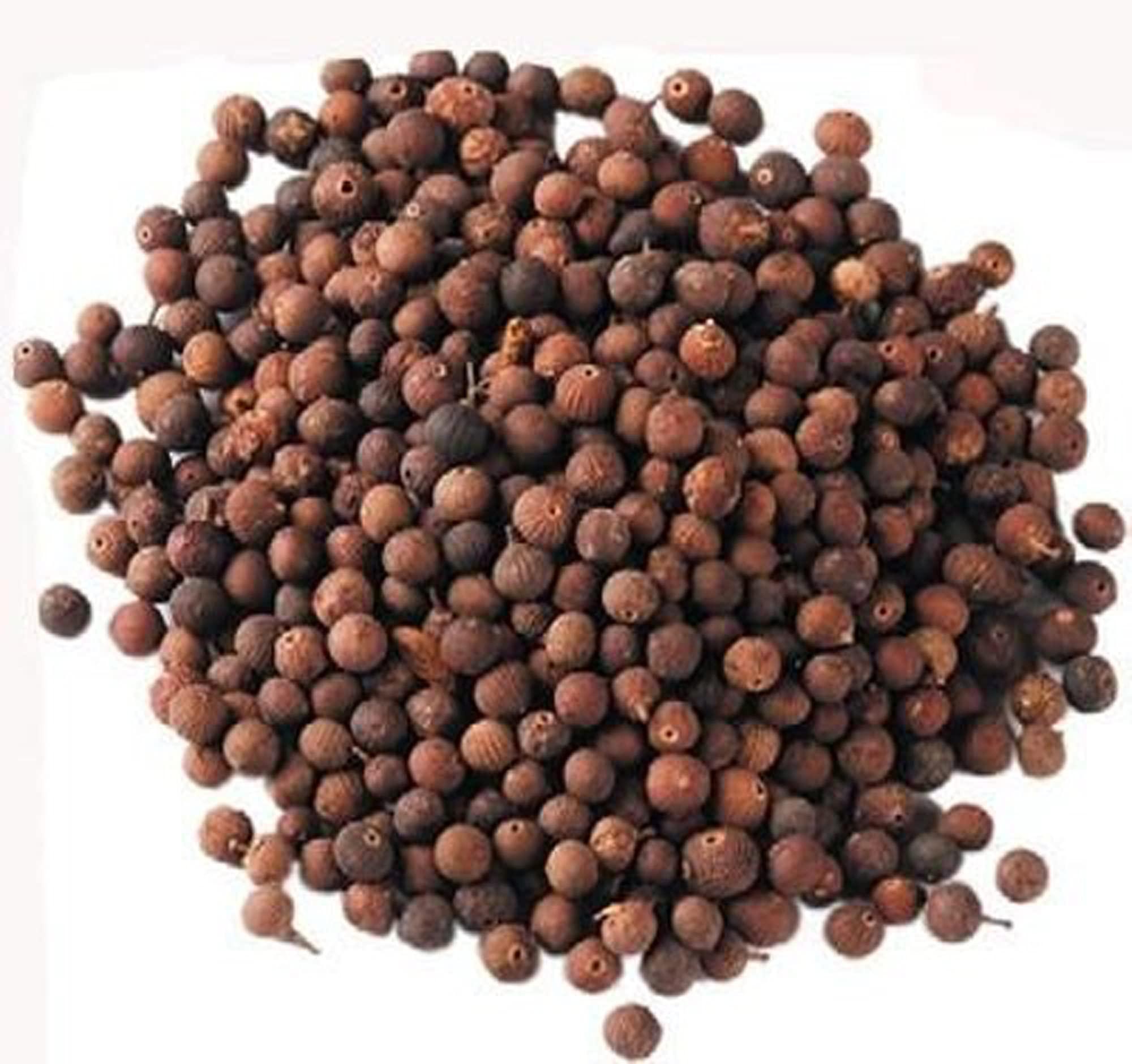 indias creation Vidanga-Baibaddang-Raw Herb-Embelia Ribes-Single Herbs-Jadi Booti (100 Gram)