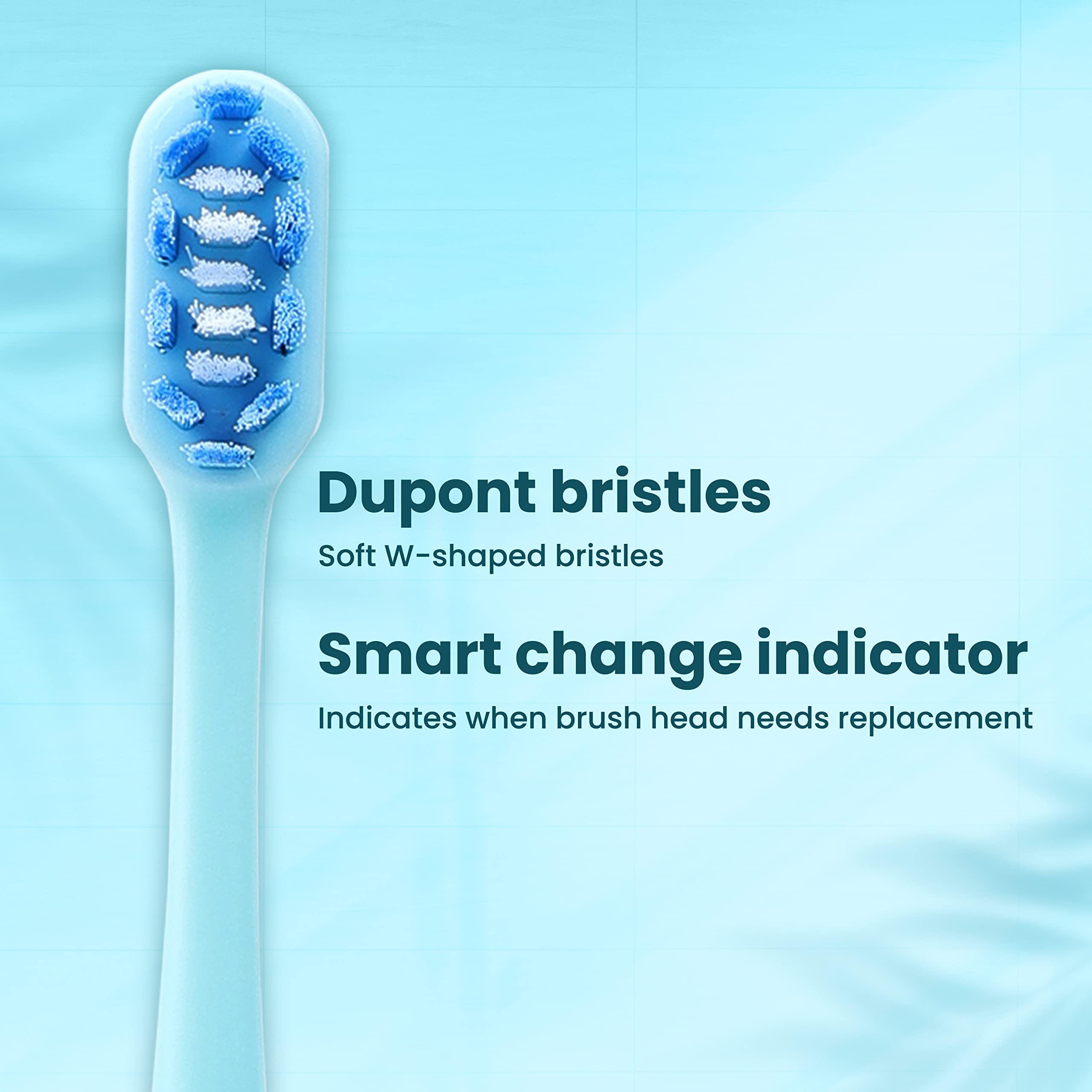 Dr.Dento Dr.Dento Neo Sonic Electric Toothbrush | Soft DuPont Bristles | 2 Brush Heads & Cover | 120 Days Battery Life | AAA Powered | Eco-Friendly Design for Unisex Adults | Ocean Blue