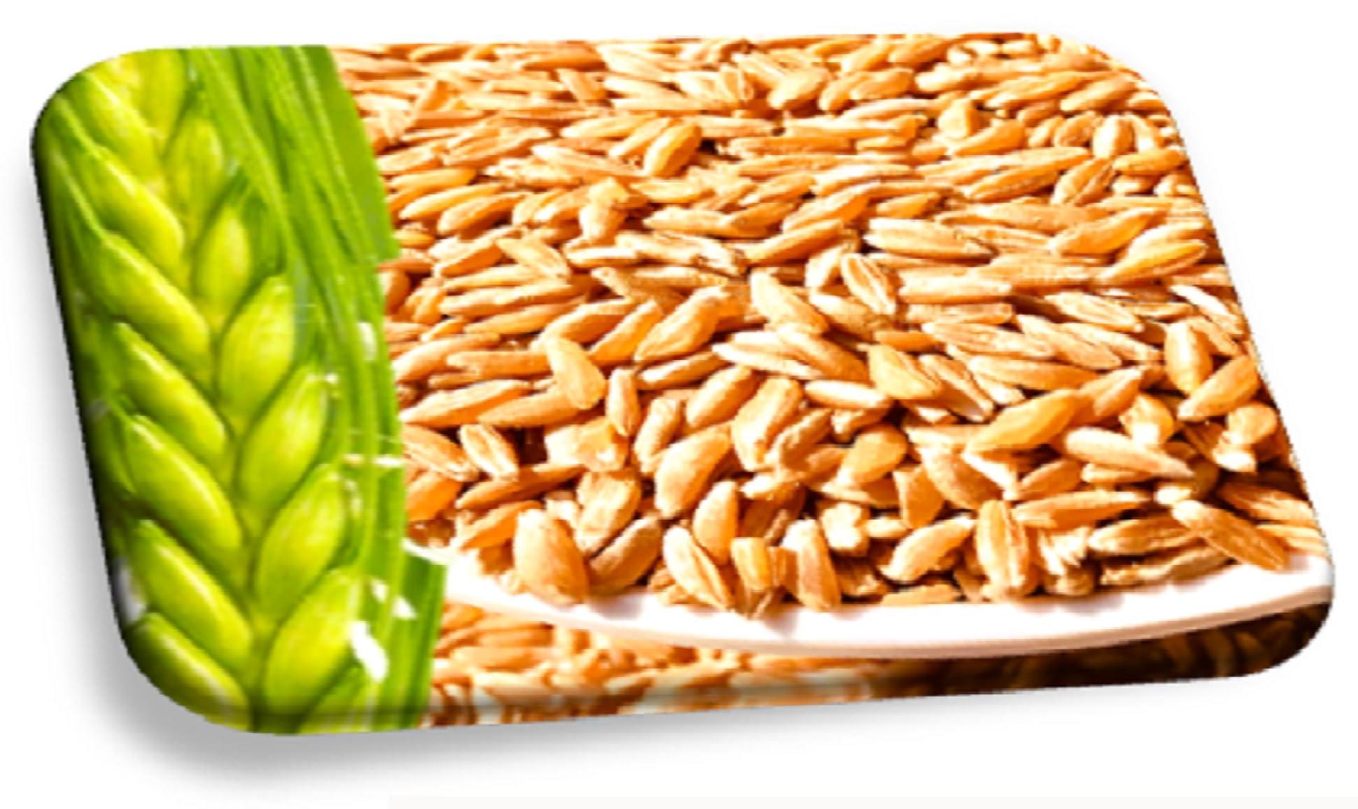 Generic The SouthWest | Khapli Wheat Flour | Emmer Long Wheat Flour | Khapli Gehu Atta | Samba | Javegodi | Sadaka | Podi | Pindi | Powder