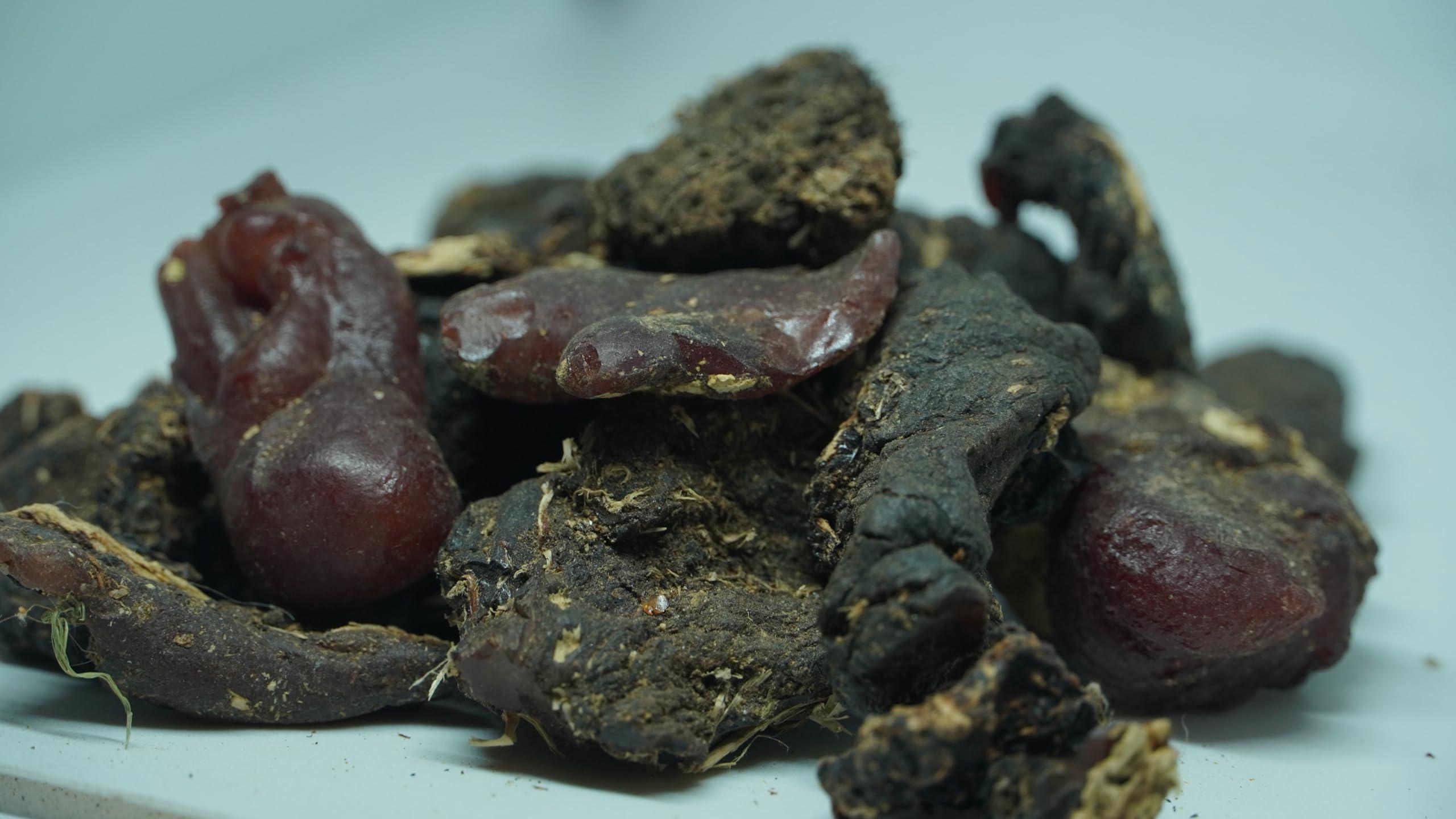 THOGAI THOGAIS -MURUNGA PISIN- / Moringa Oleifera/Drumstick Tree Resin/Ahijan/Munaga/Senjana Pattee/Muringai/Mochakamu/Munagachettu (500 GRAMS (PACK OF 1))