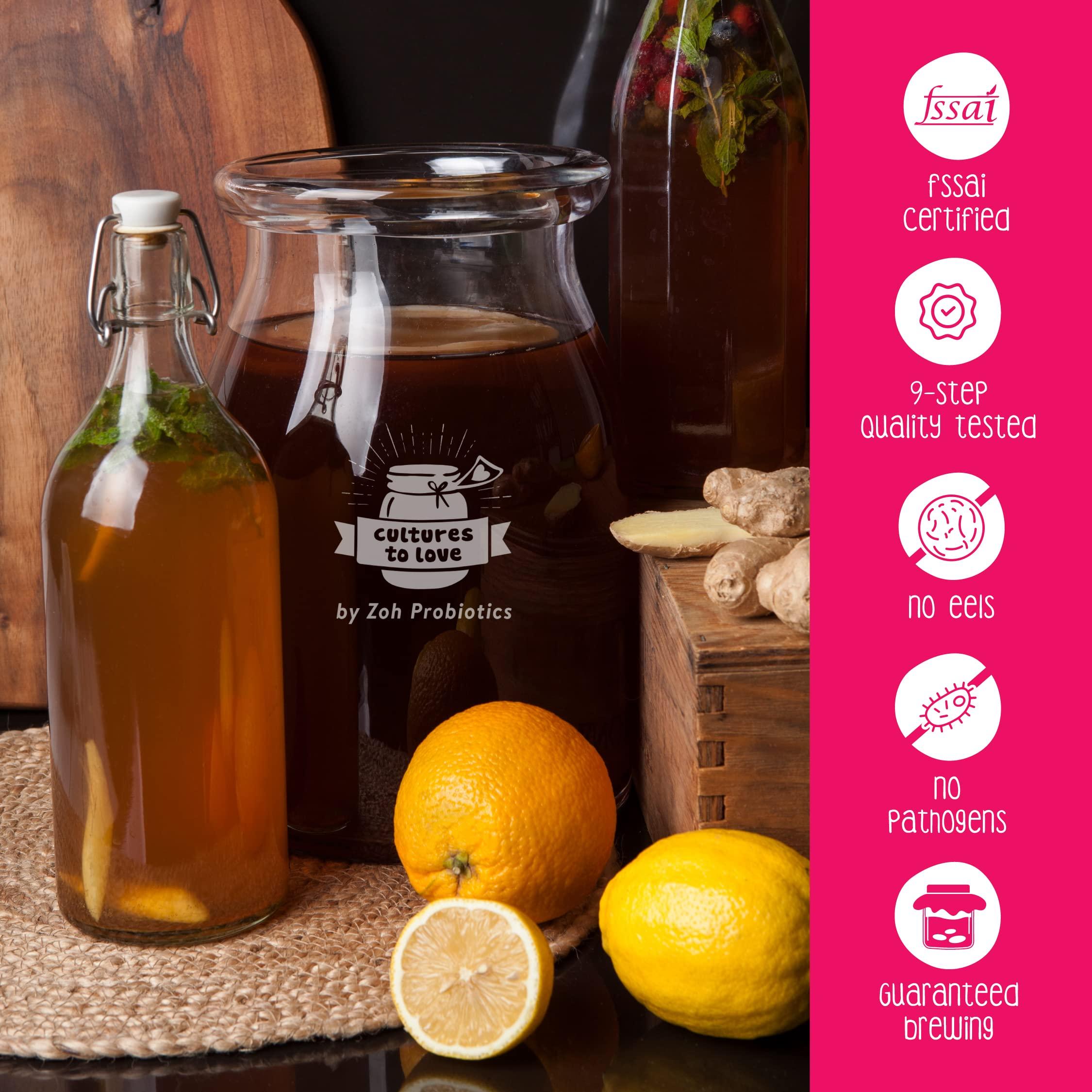 Zoh Zoh Probiotics Kombucha Scoby - Starter Culture With Mother - Live, Raw And Unfiltered - Diy Make Endless Batches- Lab Tested - No Vinegar Or Artificial Flavours Added