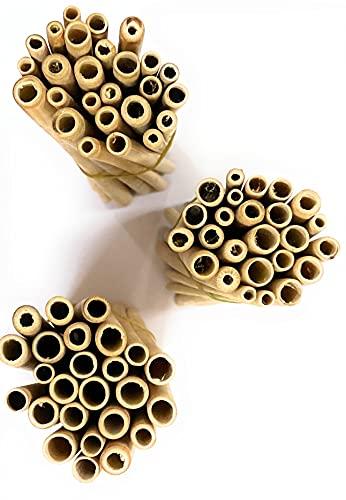 Tugs TUGS Bamboo Grass Straws Export Quality Pack of 50 Natural Eco Friendly Biodegradable Drinking Straws with Straw Cleaning Brush -Reusable. Length 10 Inch (7-12) mm