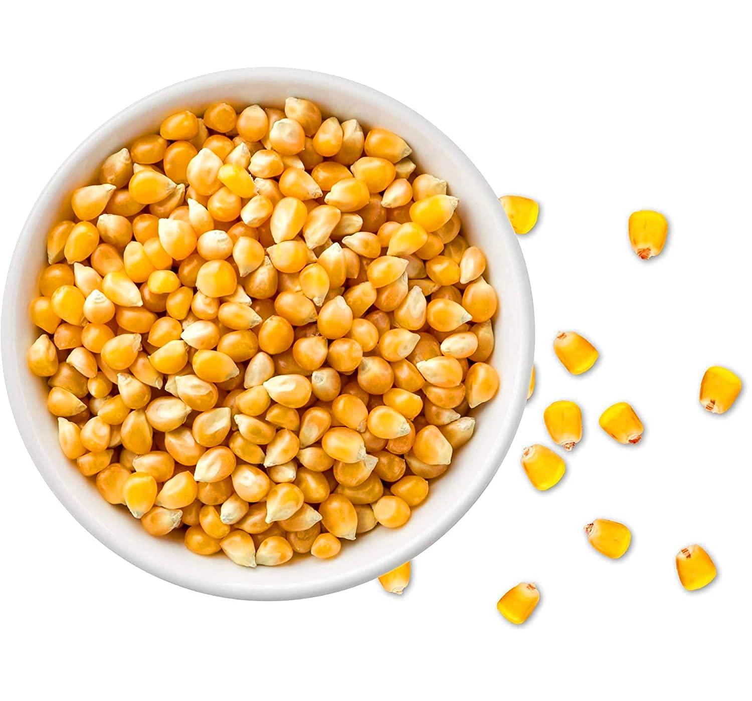 Goshudh-FREEDOM FROM ADULTERATION Goshudh Popcorn Kernels (Maize/Makka)- 5Kg Pack